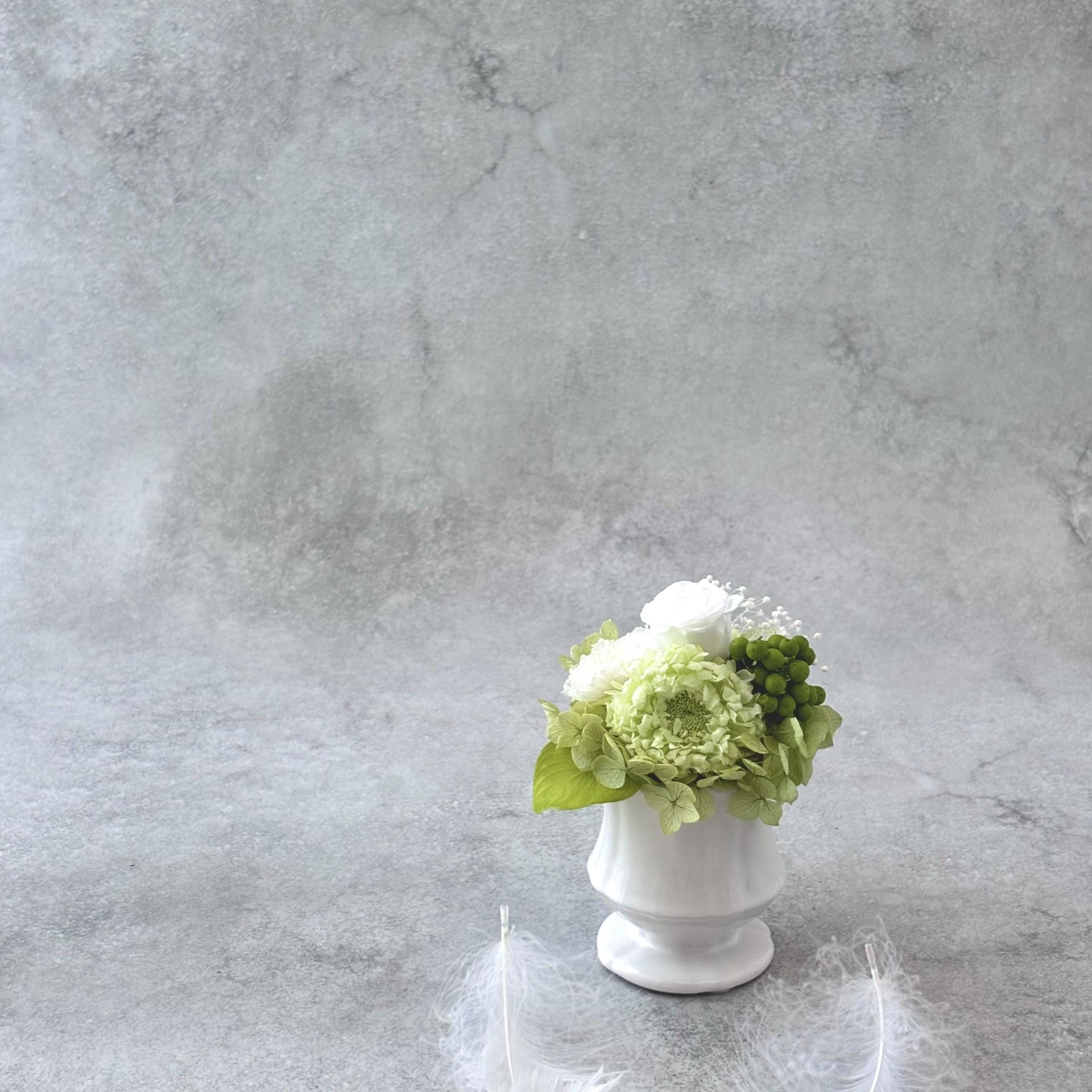 愛おしい花びら｜淡緑のやわらかさ