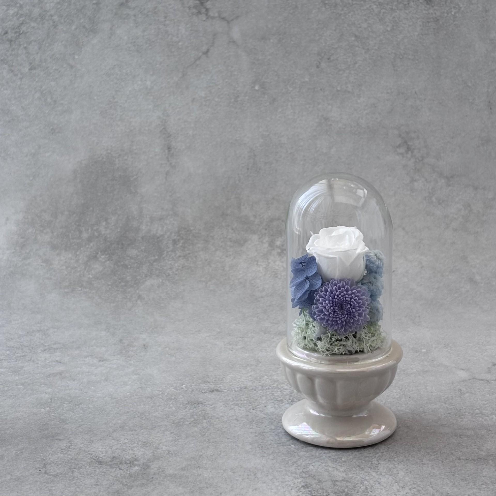 そっと守る。小さな祈り｜ブルードーム