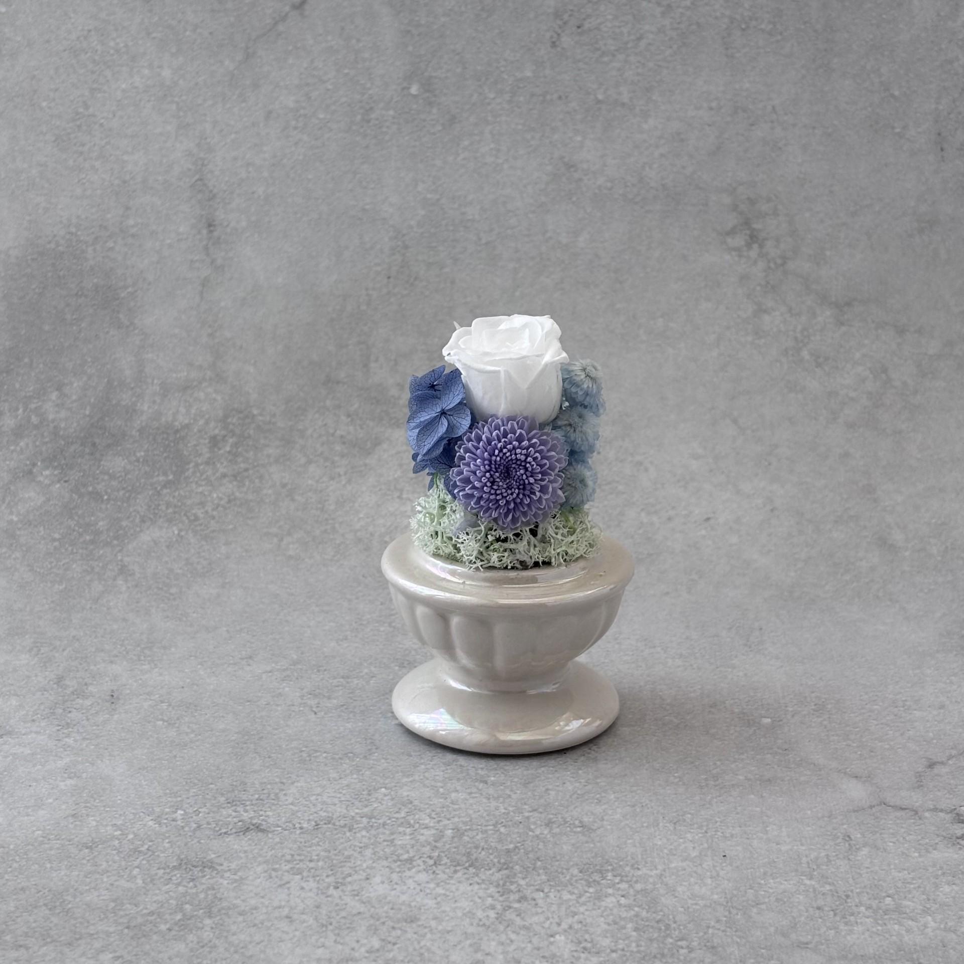 そっと守る。小さな祈り｜ブルードーム | 2枚目