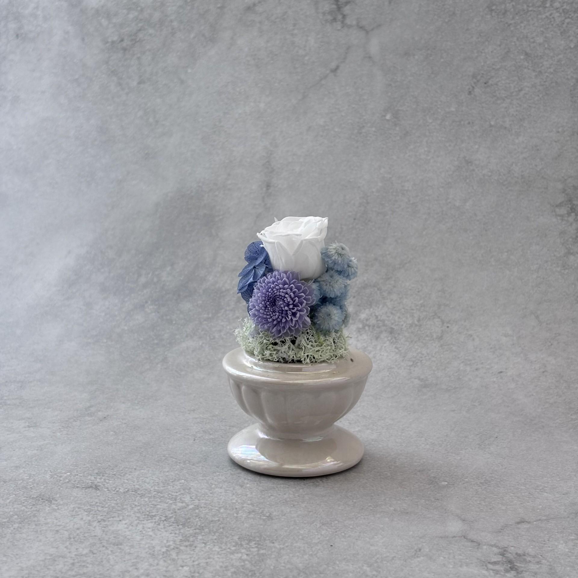 そっと守る。小さな祈り｜ブルードーム | 3枚目