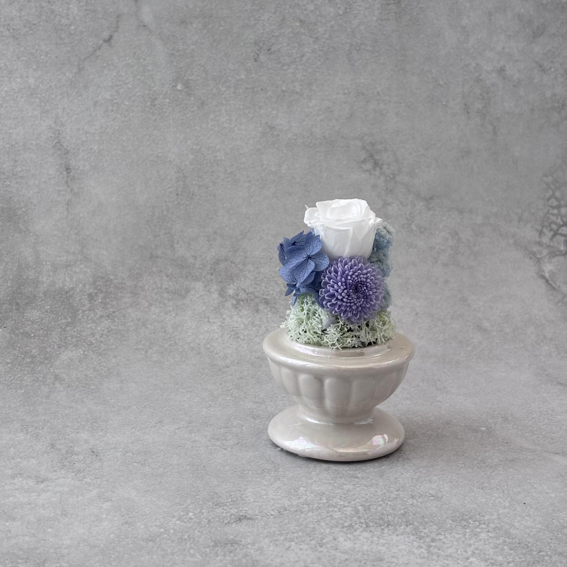 そっと守る。小さな祈り｜ブルードーム | 4枚目