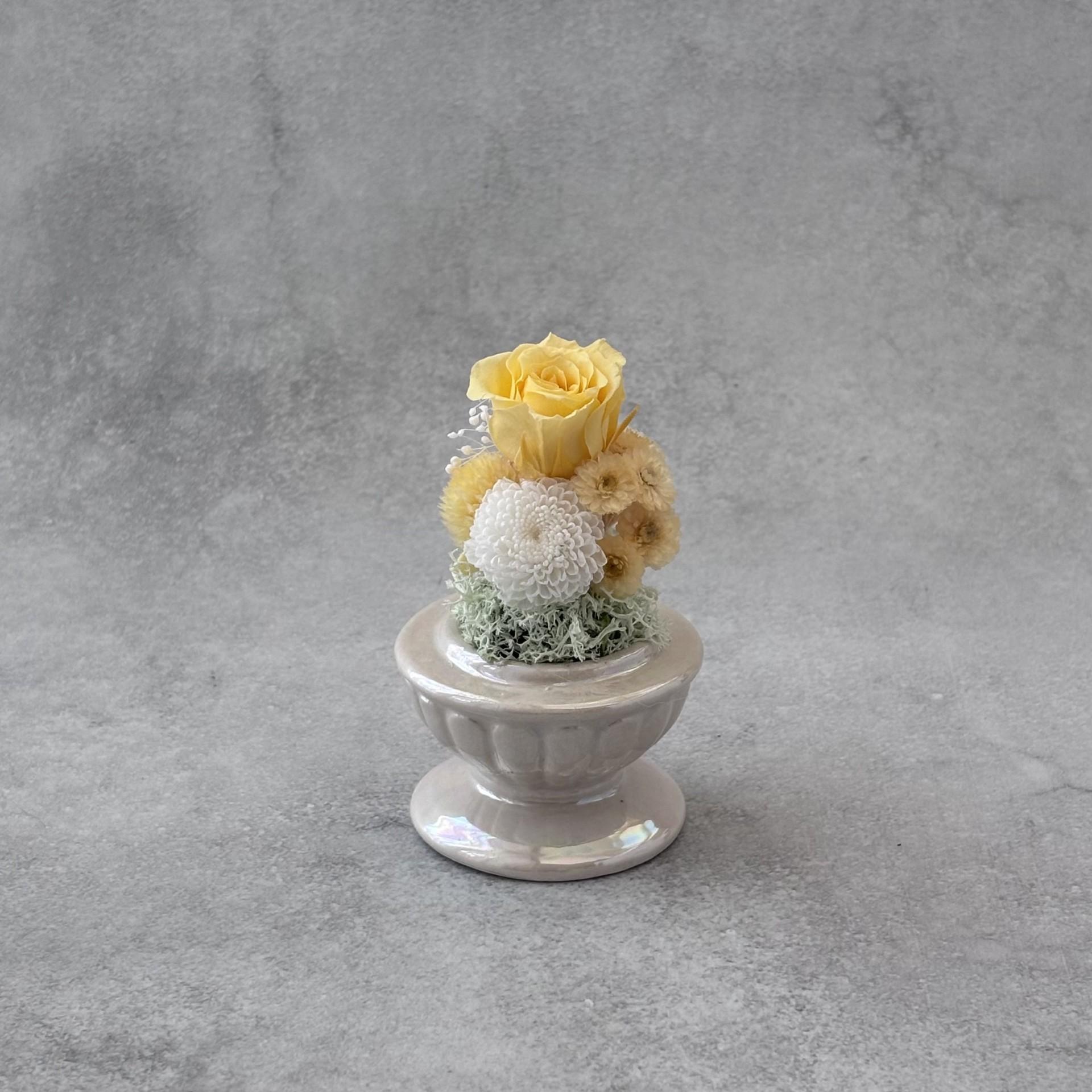 そっと守る。小さな祈り｜イエロードーム | 2枚目