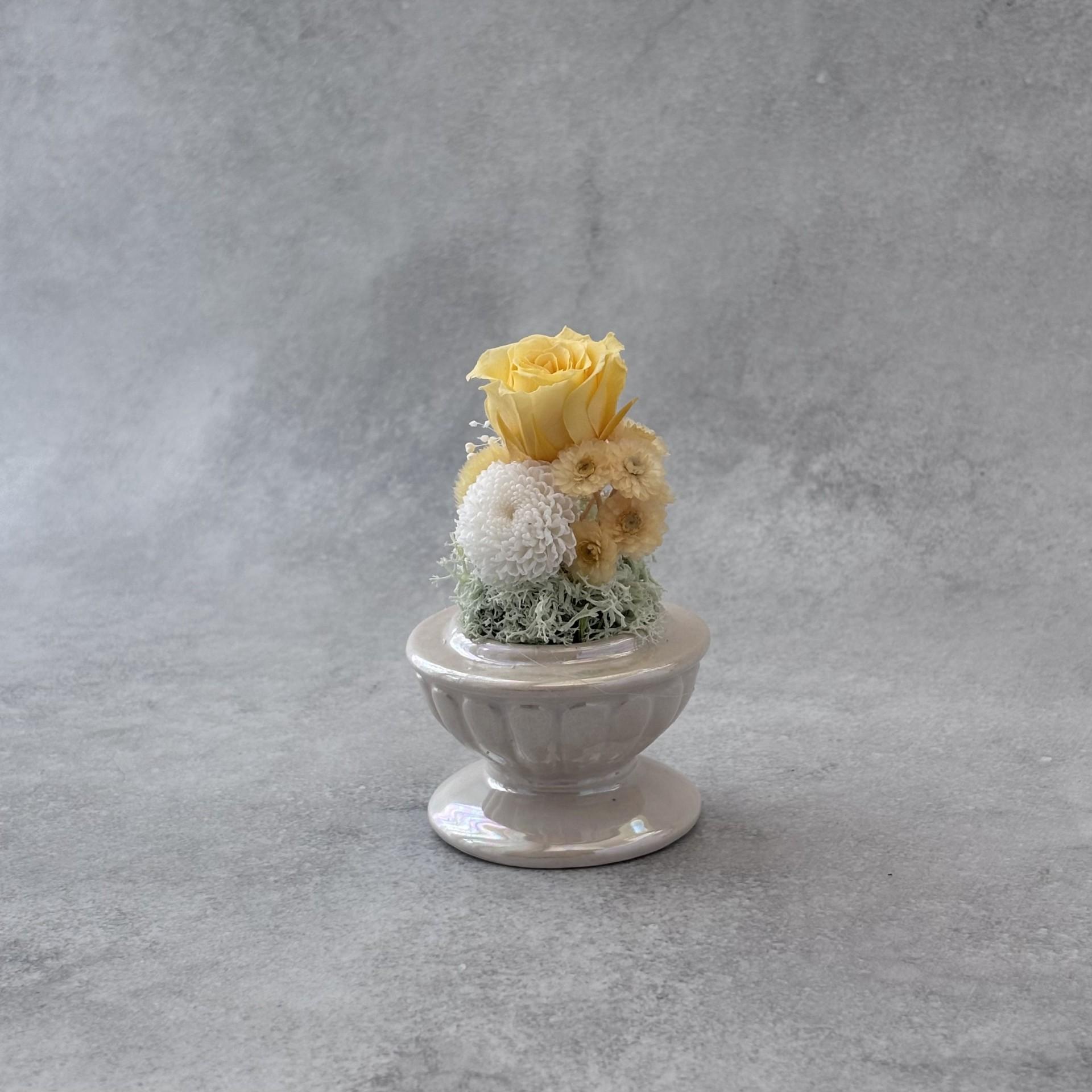 そっと守る。小さな祈り｜イエロードーム | 3枚目