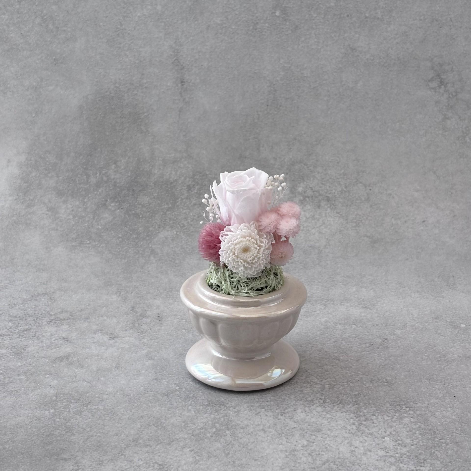 そっと守る。小さな祈り｜ピンクドーム | 2枚目