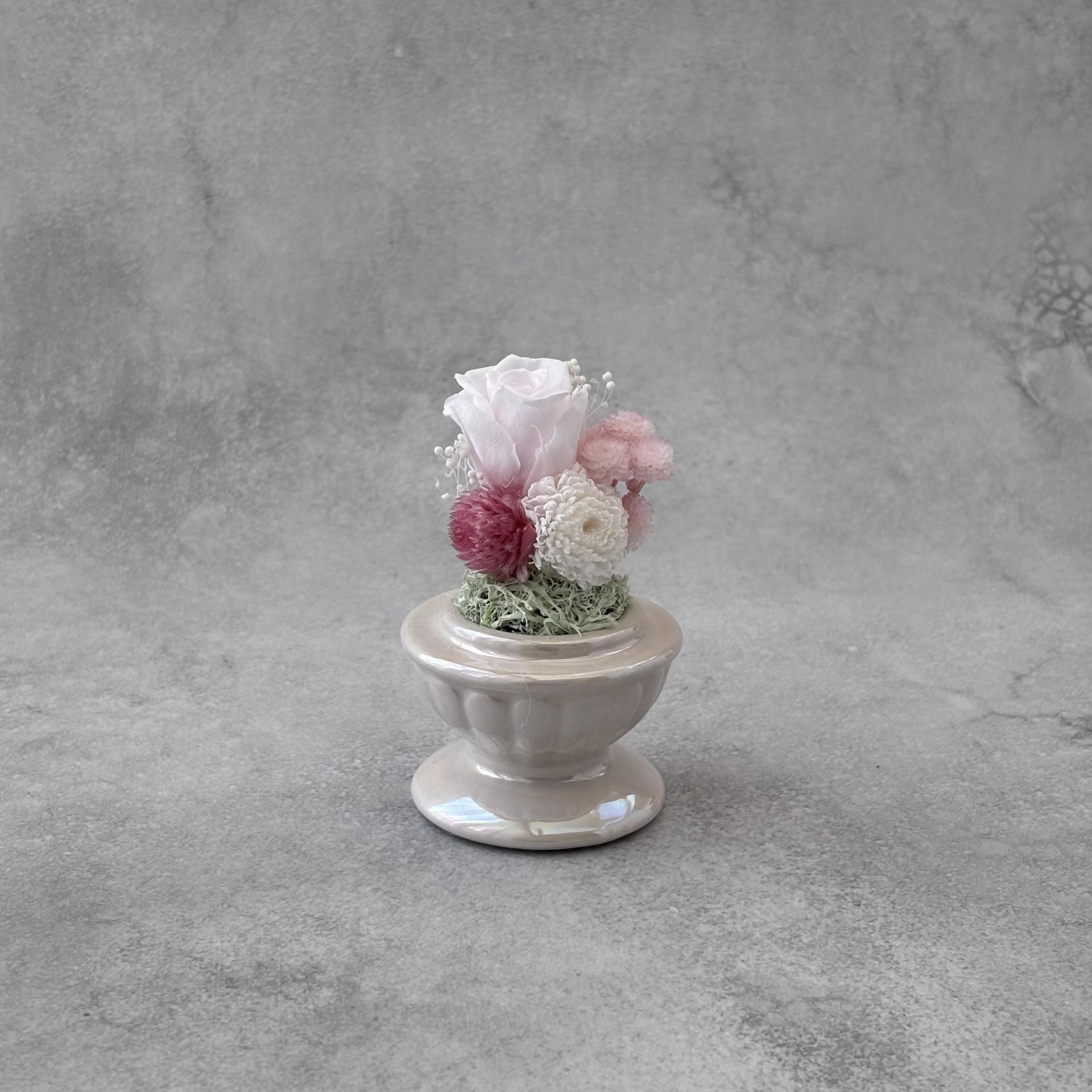 そっと守る。小さな祈り｜ピンクドーム | 4枚目