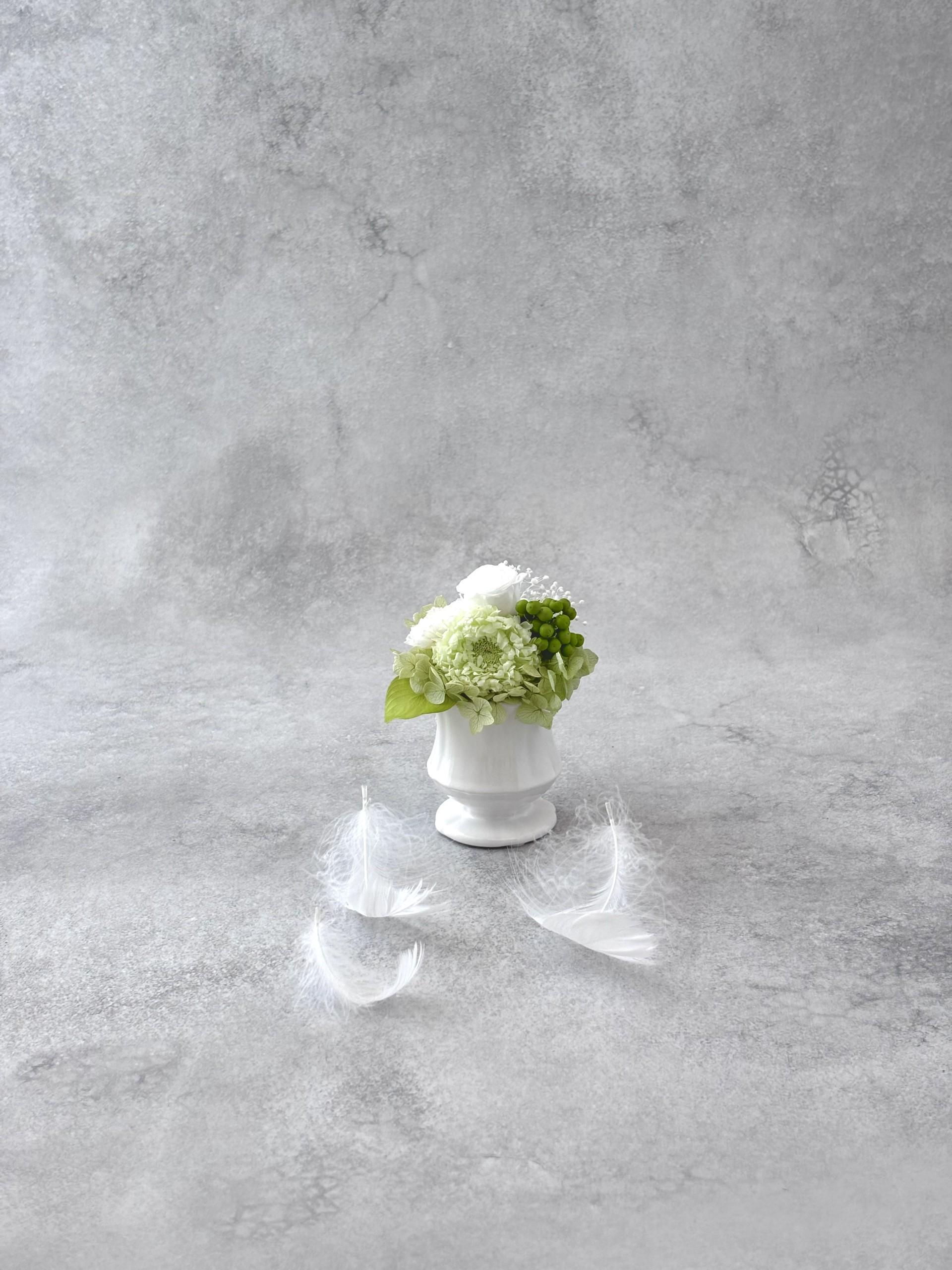 愛おしい花びら|淡緑のやわらかさ | 2枚目