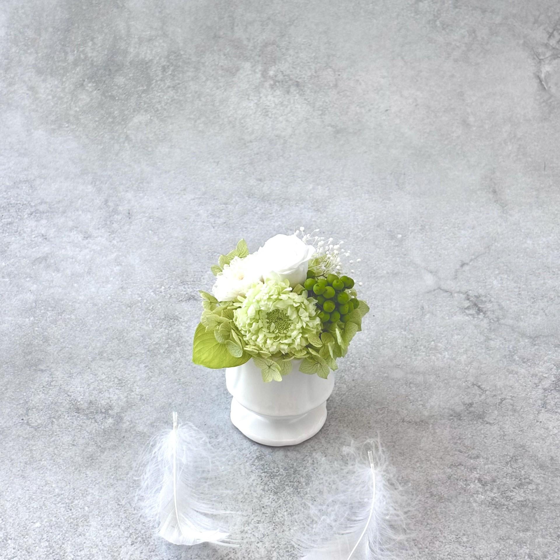 愛おしい花びら|淡緑のやわらかさ | 3枚目