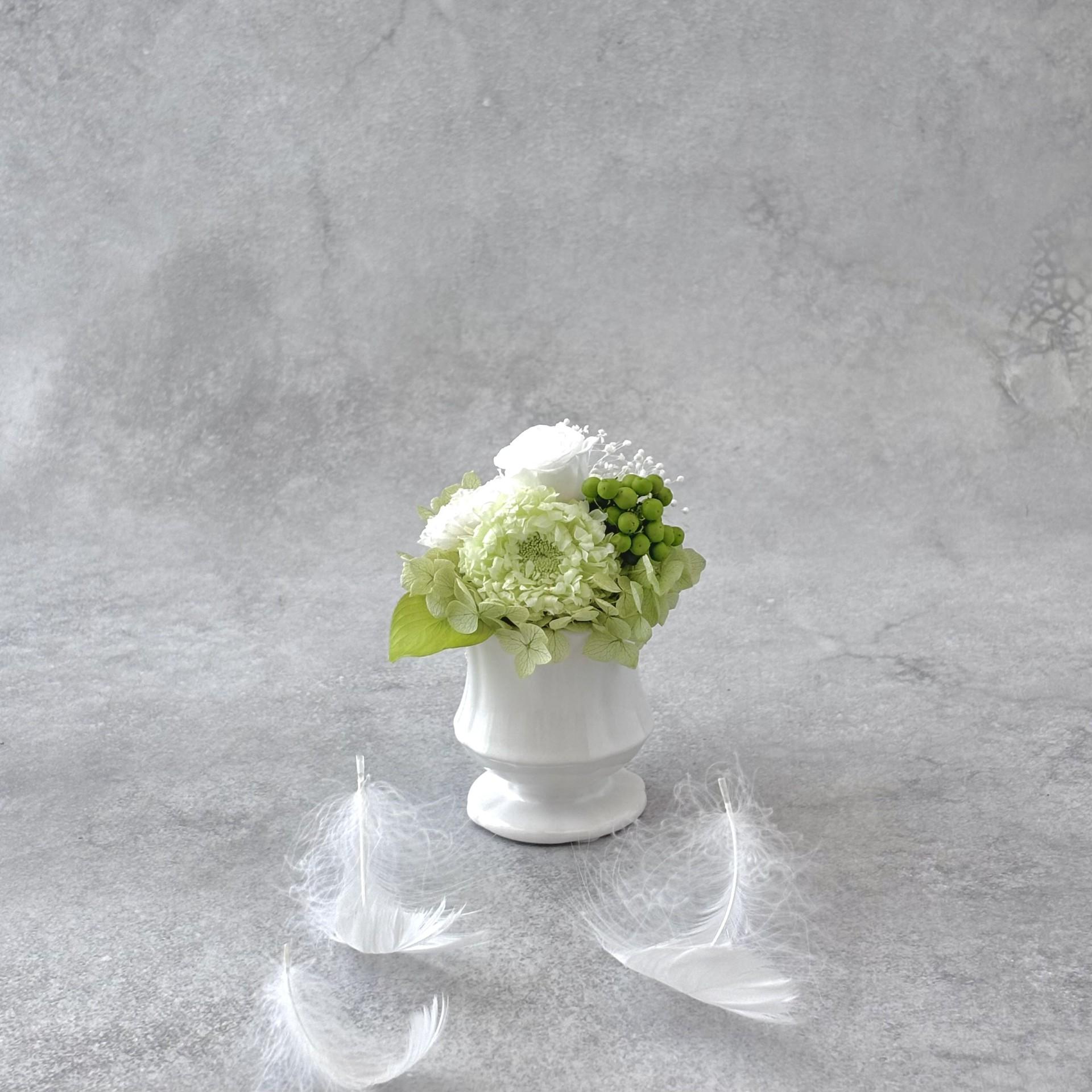 愛おしい花びら|淡緑のやわらかさ | 5枚目