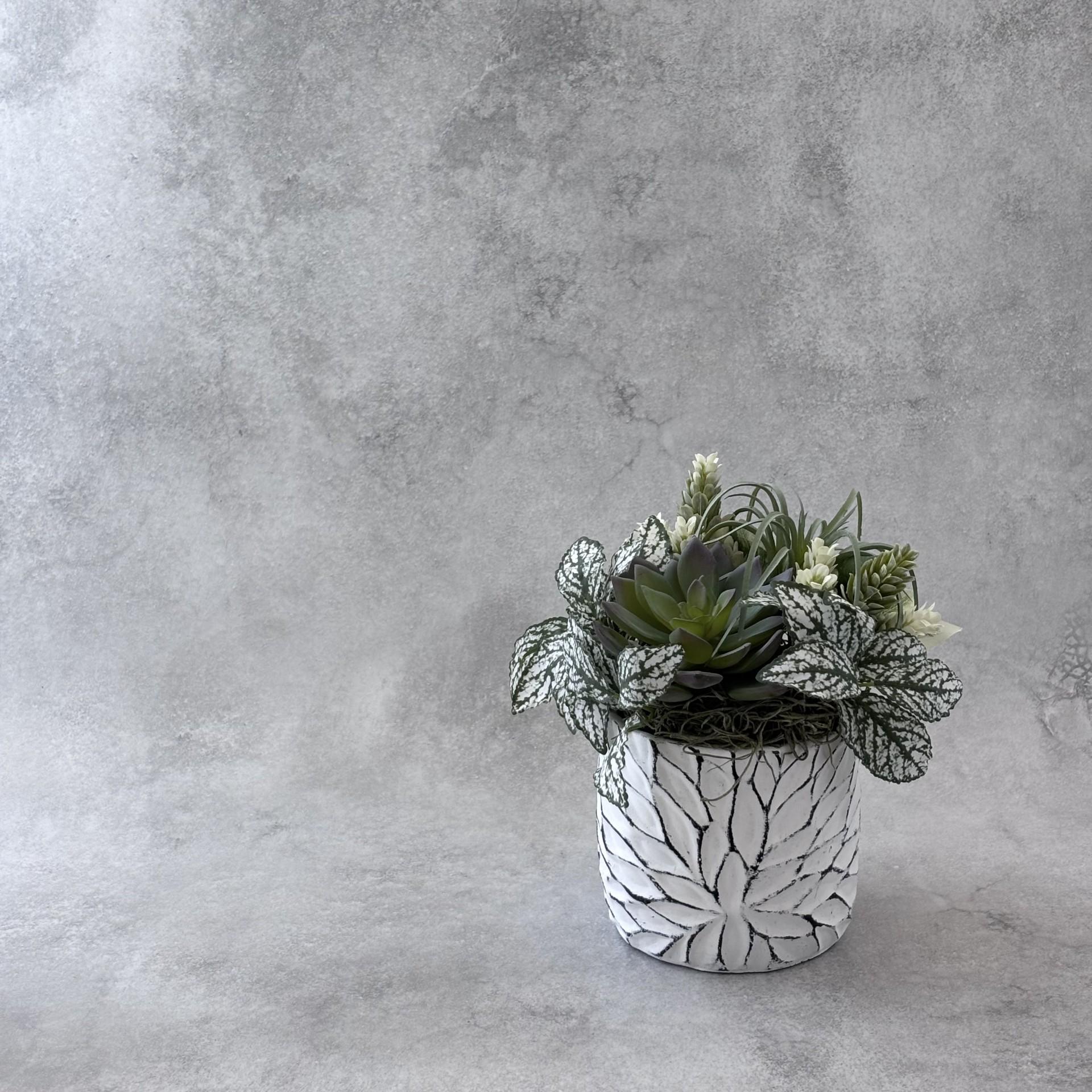 静寂の調和|佇む緑1枚目の画像