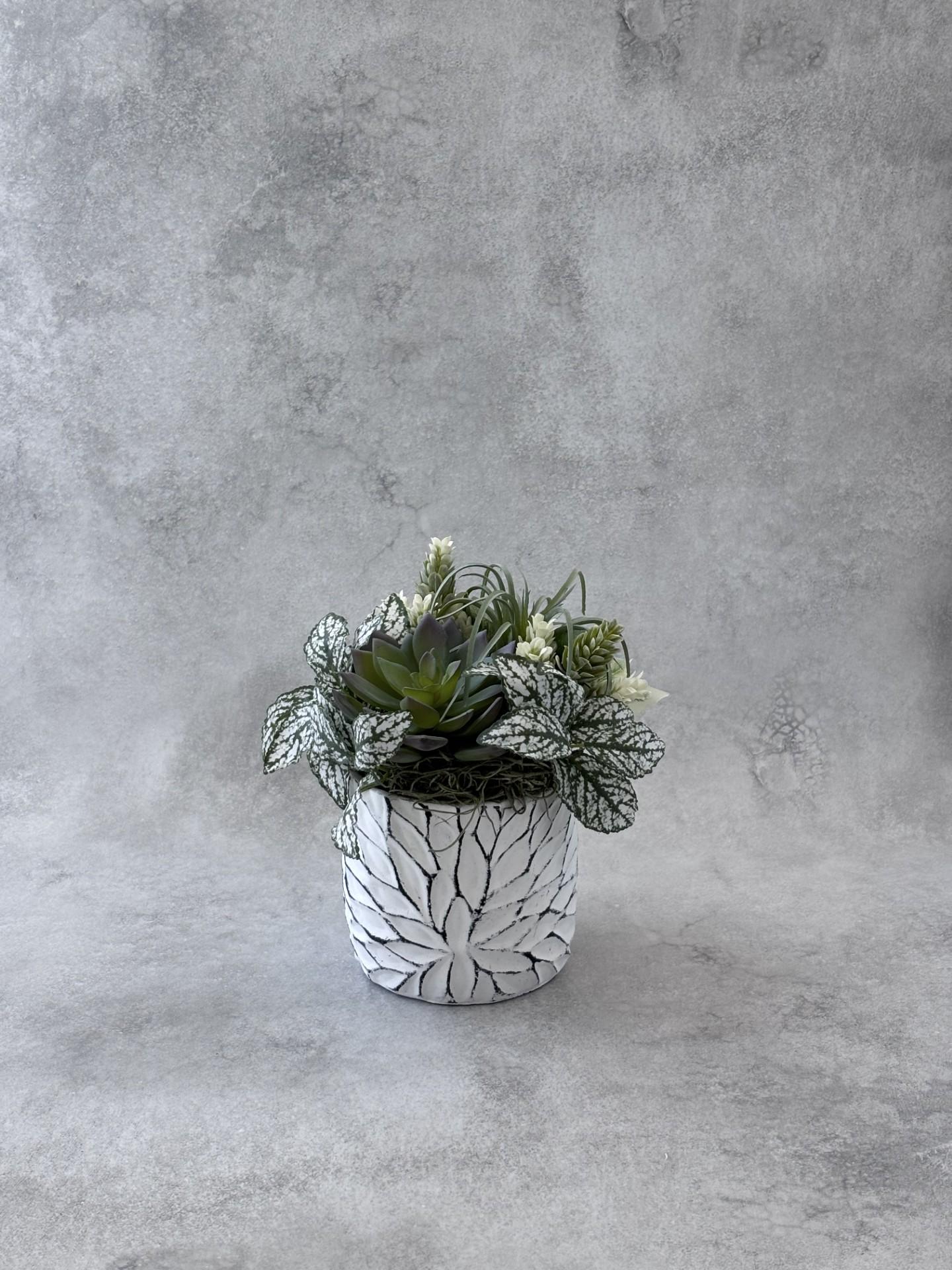 静寂の調和|佇む緑 | 2枚目