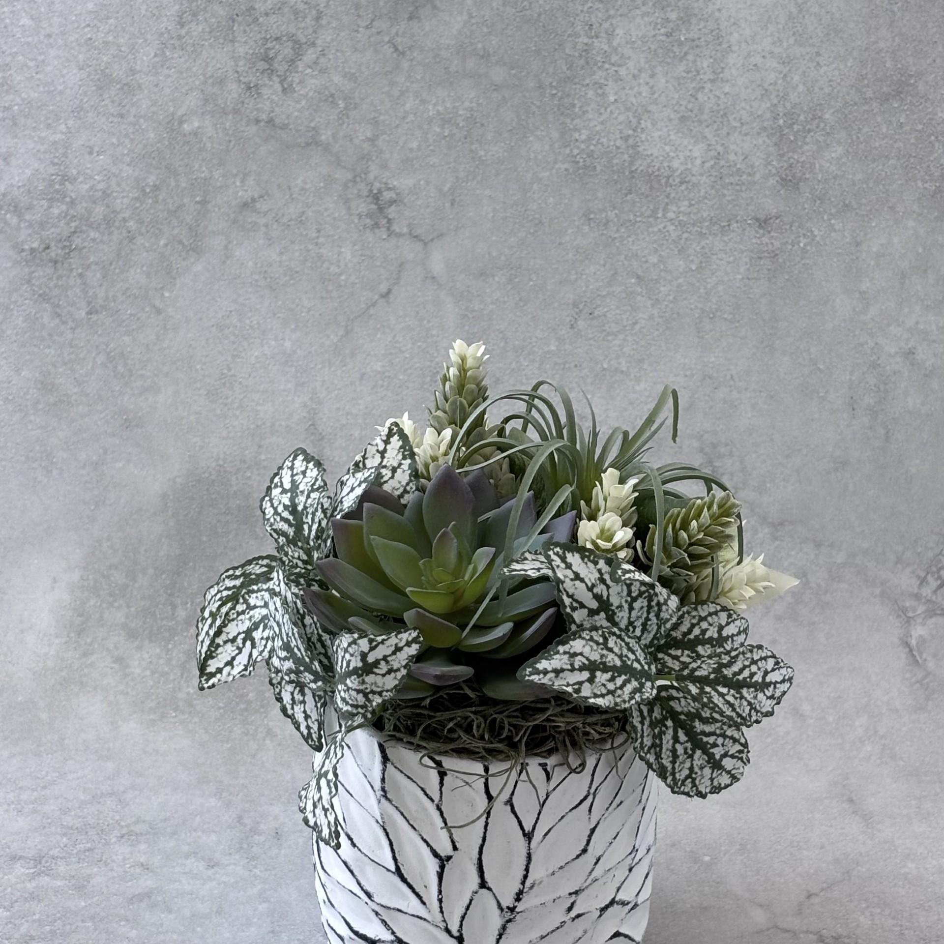 静寂の調和|佇む緑 | 3枚目