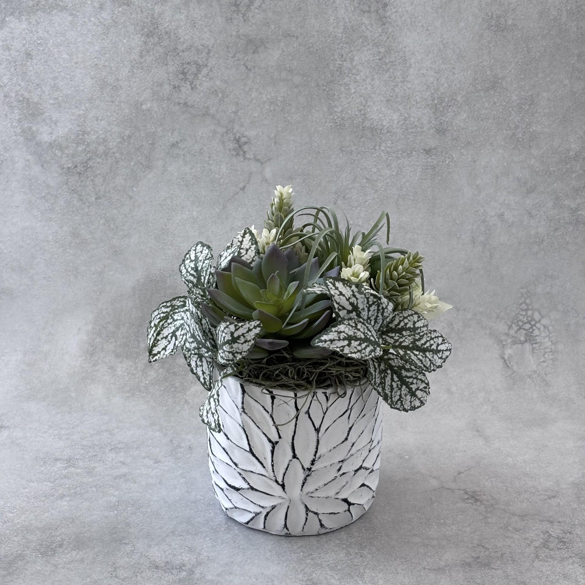 静寂の調和|佇む緑 | 4枚目